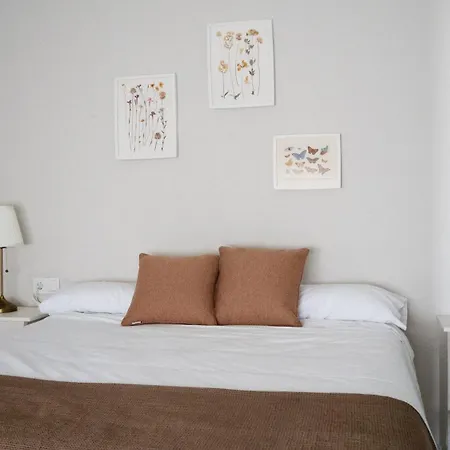 La Higuera Atcc00793 *